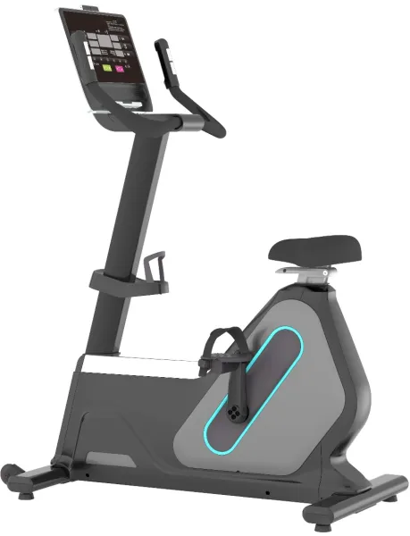 Odin PRO B1200 Motionscykel